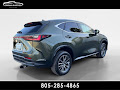 2022 Lexus NX NX 250