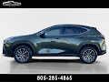 2022 Lexus NX NX 250